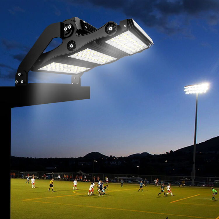 LED園林景觀照明節(jié)能改造實現照明效率及景觀美觀度的提升